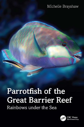 Parrotfish of the Great Barrier Reef: Rainbows under the Sea.