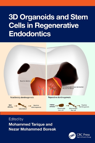 3D Organoids and Stem Cells in Regenerative Endodontics.