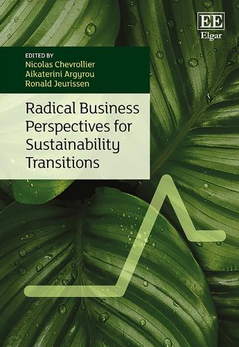 Radical Business Perspectives for Sustainability Transitions.