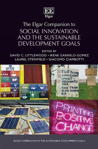 The Elgar Companion to Social Innovation and the Sustainable Development Goals.