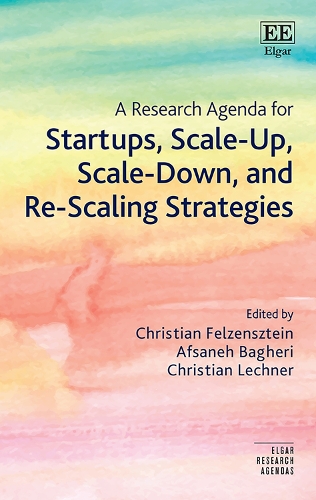 A Research Agenda for Startups, Scale-up, Scale-Down, and Re-Scaling Strategies.