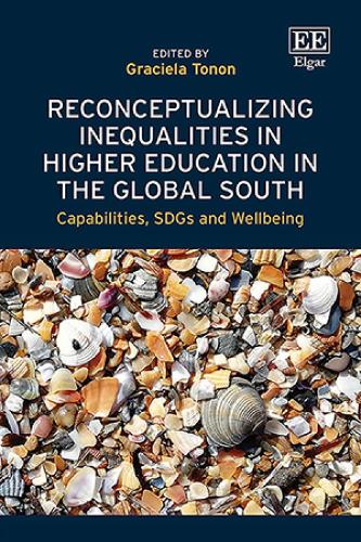 Reconceptualizing Inequalities in Higher Education in the Global South