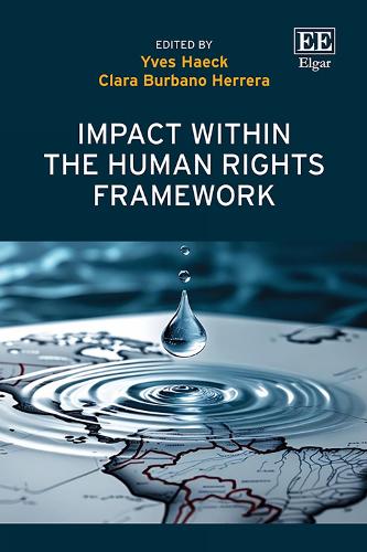 Impact within the Human Rights Framework.