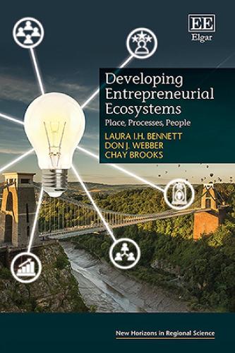 Developing Entrepreneurial Ecosystems