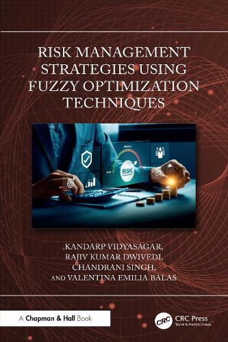 Risk Management Strategies Using Fuzzy Optimization Techniques.