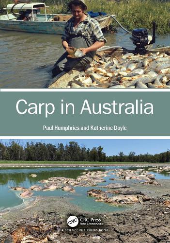 Carp in Australia.
