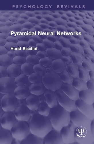 Pyramidal Neural Networks.