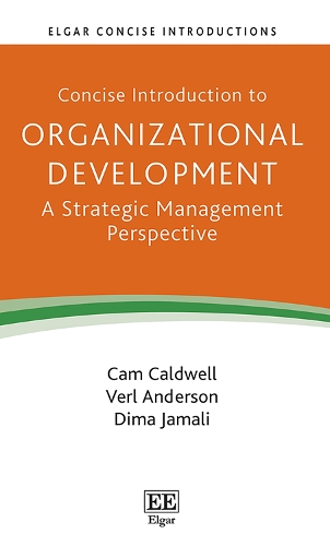 Concise Introduction to Organizational Development: A Strategic Management Perspective.
