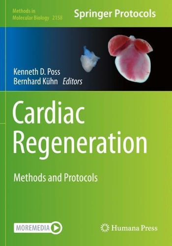 Cardiac Regeneration: Methods and Protocols. 2021 ed.