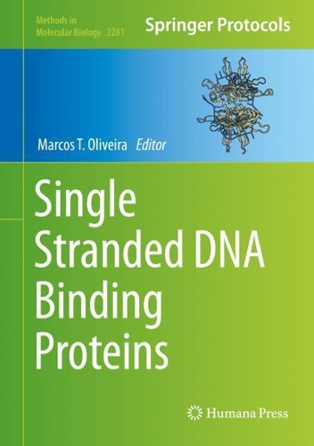 Single Stranded DNA Binding Proteins. 2021 ed.