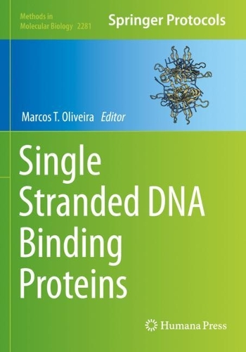 Single Stranded DNA Binding Proteins. 2021 ed.