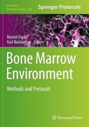 Bone Marrow Environment: Methods and Protocols. 2021 ed.