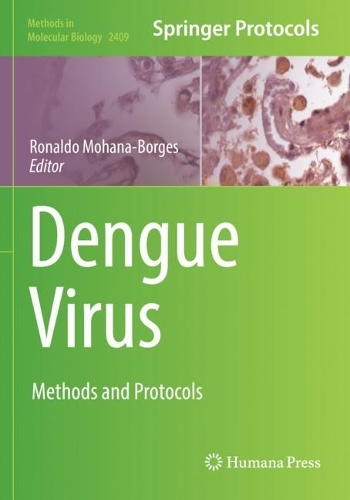 Dengue Virus: Methods and Protocols. 2022 ed.