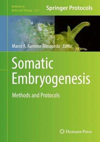 Somatic Embryogenesis: Methods and Protocols. 2022 ed.