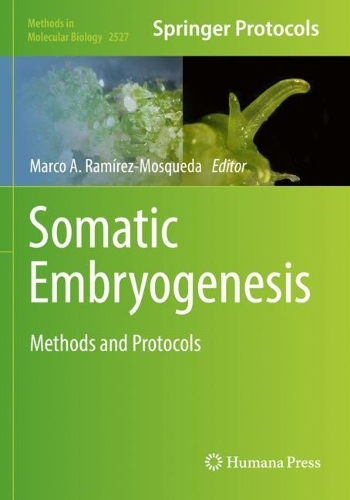 Somatic Embryogenesis: Methods and Protocols. 2022 ed.