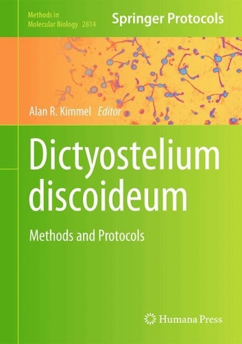 Dictyostelium discoideum: Methods and Protocols. 2024 ed.
