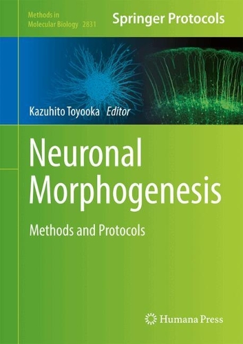 Neuronal Morphogenesis: Methods and Protocols. 2024 ed.