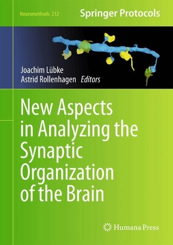 New Aspects in Analyzing the Synaptic Organization of the Brain. 2024 ed.