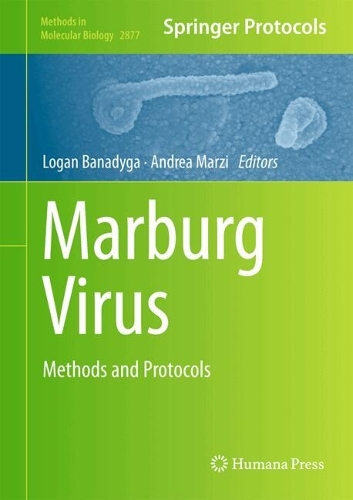 Marburg Virus: Methods and Protocols. 2025 ed.