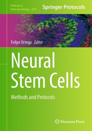 Neural Stem Cells: Methods and Protocols.