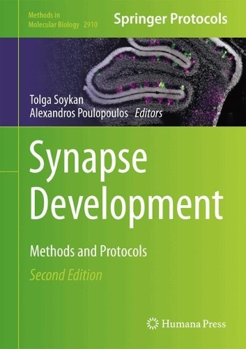 Synapse Development: Methods and Protocols. Second Edition 2025