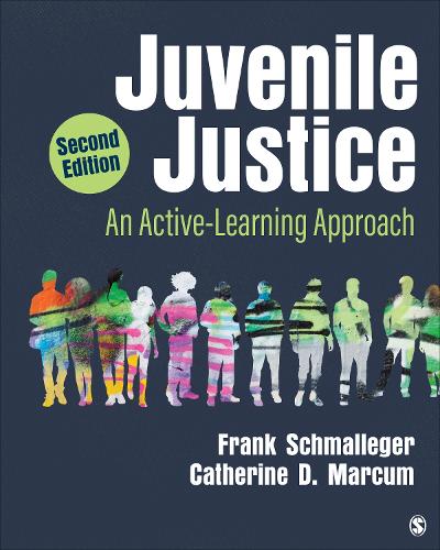 Juvenile Justice: An Active-Learning Approach. 2nd ed.