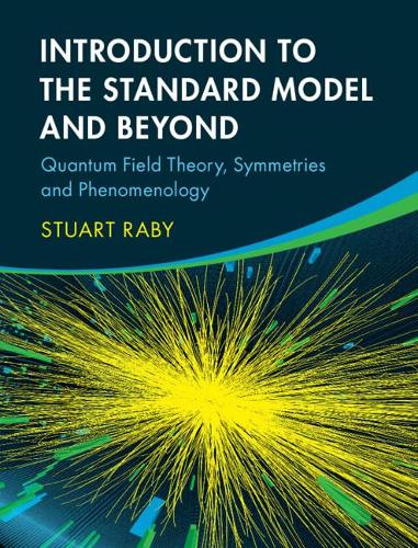 Introduction to the Standard Model and Beyond: Quantum Field Theory, Symmetries and Phenomenology.