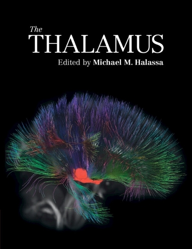 The Thalamus.