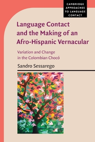 Language Contact and the Making of an Afro-Hispanic Vernacular: Variation and Change in the Colombian Choco.