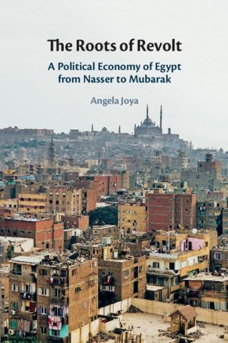 The Roots of Revolt: A Political Economy of Egypt from Nasser to Mubarak.