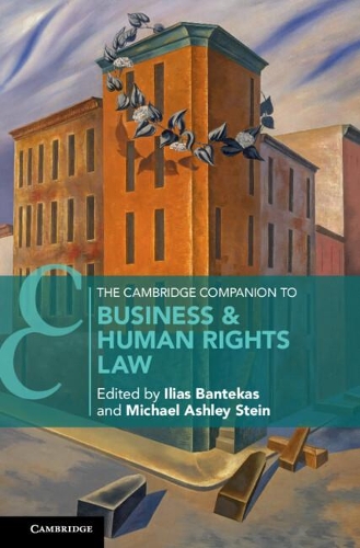 The Cambridge Companion to Business and Human Rights Law.