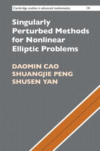 Singularly Perturbed Methods for Nonlinear Elliptic Problems.
