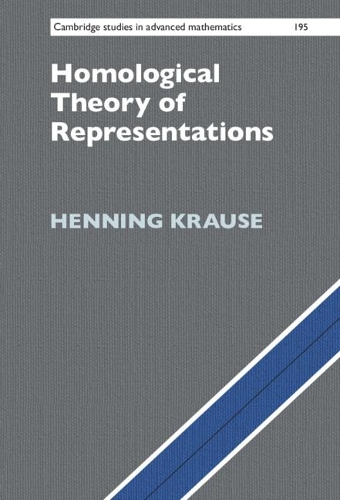 Homological Theory of Representations.