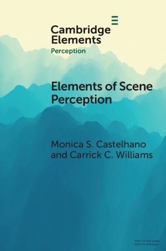 Scene Perception.