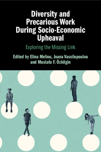 Diversity and Precarious Work During Socio-Economic Upheaval: Exploring the Missing Link.