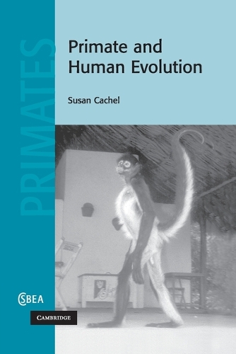 Primate and Human Evolution.