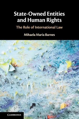 State-Owned Entities and Human Rights: The Role of International Law.