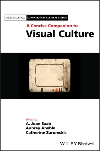 A Concise Companion to Visual Culture.