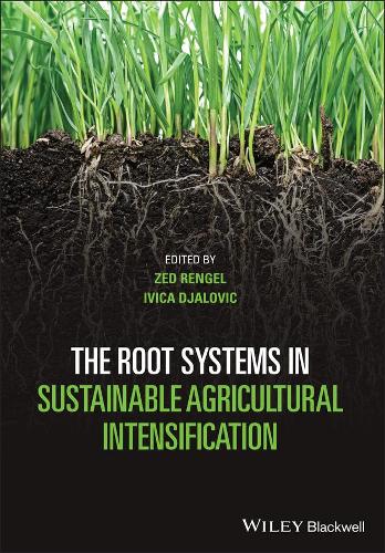 The Root Systems in Sustainable Agricultural Intensification.