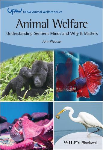 Animal Welfare: Understanding Sentient Minds and Why It Matters.