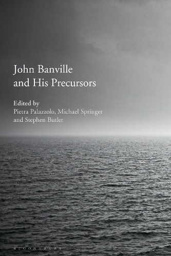 John Banville and His Precursors.