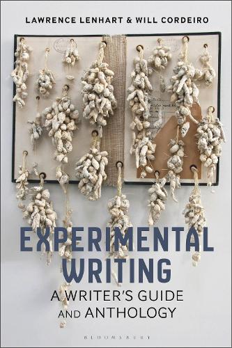 Experimental Writing: A Writer's Guide and Anthology.