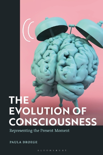 The Evolution of Consciousness: Representing the Present Moment.