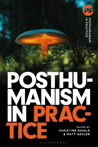 Posthumanism in Practice.