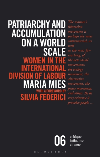 Patriarchy and Accumulation on a World Scale: Women in the International Division of Labour.