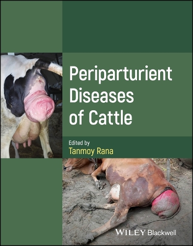 Periparturient Diseases of Cattle.