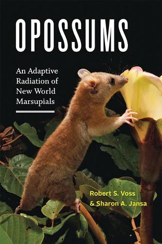 Opossums: An Adaptive Radiation of New World Marsupials.
