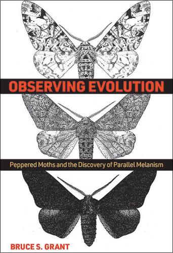Observing Evolution: Peppered Moths and the Discovery of Parallel Melanism.