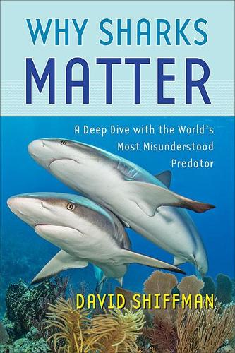Why Sharks Matter: A Deep Dive with the World's Most Misunderstood Predator.