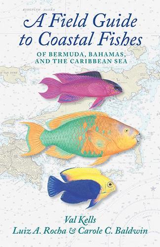 A Field Guide to Coastal Fishes of Bermuda, Bahamas, and the Caribbean Sea.